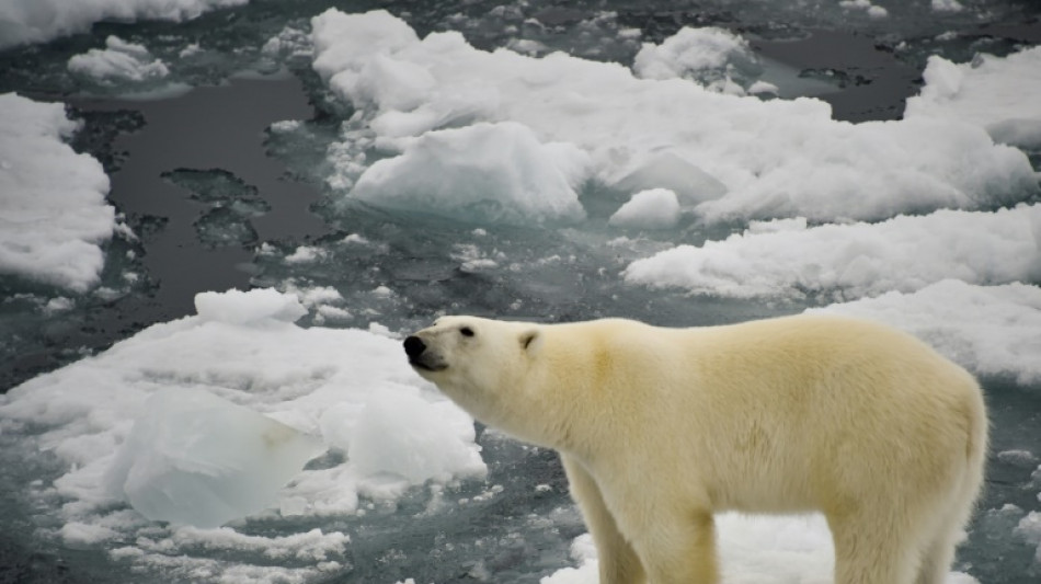 UN holds biodiversity talks on deal to stave off mass extinction