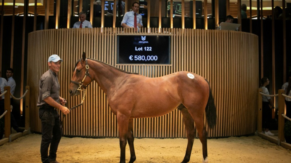 Ventes de yearlings records à Deauville à plus de 51 millions d'euros