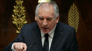 Frankreichs Premier Bayrou will Rentenreform drei Monate lang neu verhandeln