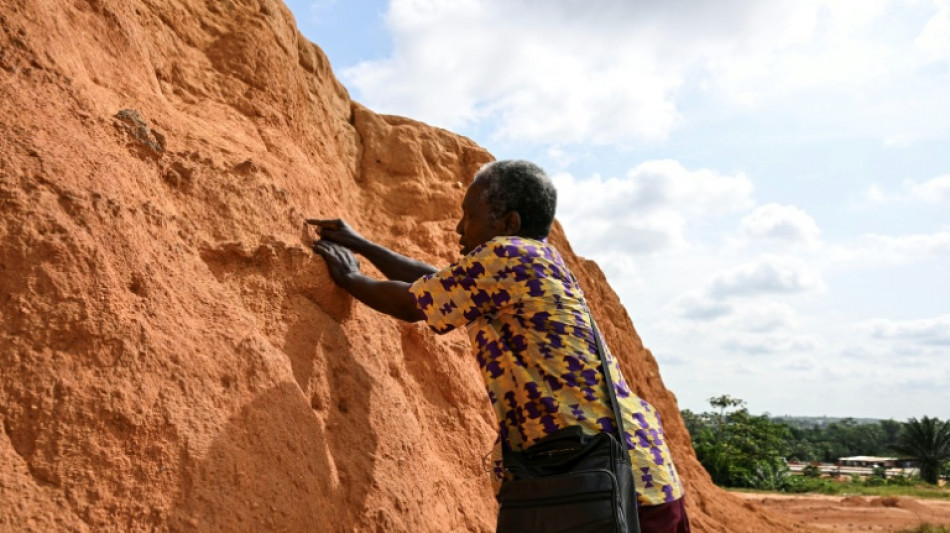 Il y a 150.000 ans à Abidjan, une immense forêt tropicale et déjà l'Homo sapiens