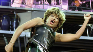 Os cinco maiores sucessos de Tina Turner