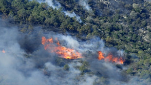 Espagne: l'incendie à la frontière avec la France sous contrôle