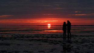 Oberfläche von Nord- und Ostsee im Winter deutlich wärmer als üblich