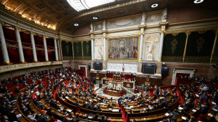 Feu vert des députés à une hausse des crédits du ministère de l'Intérieur