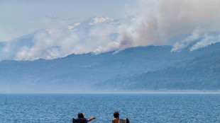 Fire in Argentina UNESCO park caused by arson: official