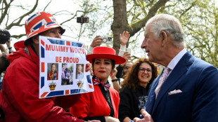 King Charles greets royal fans as coronation buzz builds