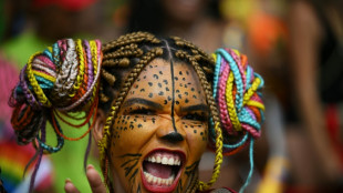 Brésil: le carnaval de Rio dans toute sa splendeur au sambodrome