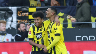 Haller trifft: Dortmund zieht mit Bayern gleich