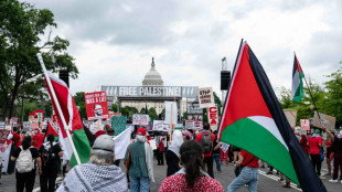 Des milliers de manifestants anti-Netanyahu avant son discours au Congrès américain