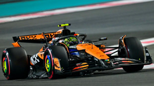 McLaren's Norris takes pole for Abu Dhabi Grand Prix 