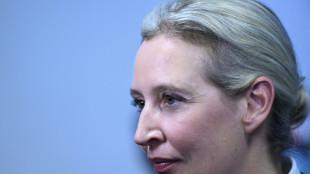 AfD-Chefin Weidel holt Wahlkreis nicht