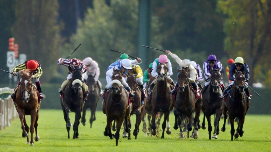 Prix de l'Arc de Triomphe: 16 pur-sang anglais courrent après un titre mondial