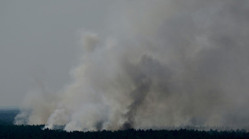 Feuerwehr macht Fortschritte bei Löschen von Großbrand im Berliner Grunewald