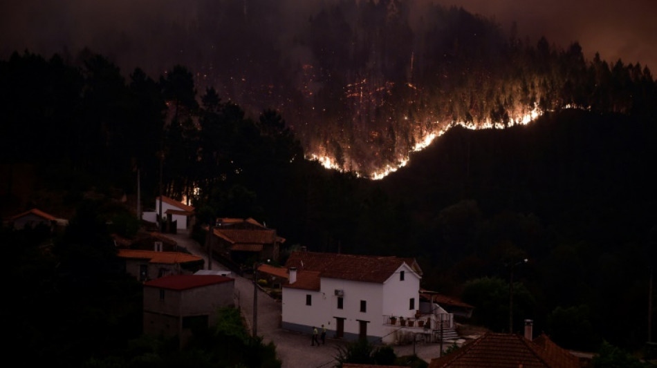 Portugal: acquittement général à l'issue du procès de l'incendie meurtrier de juin 2017