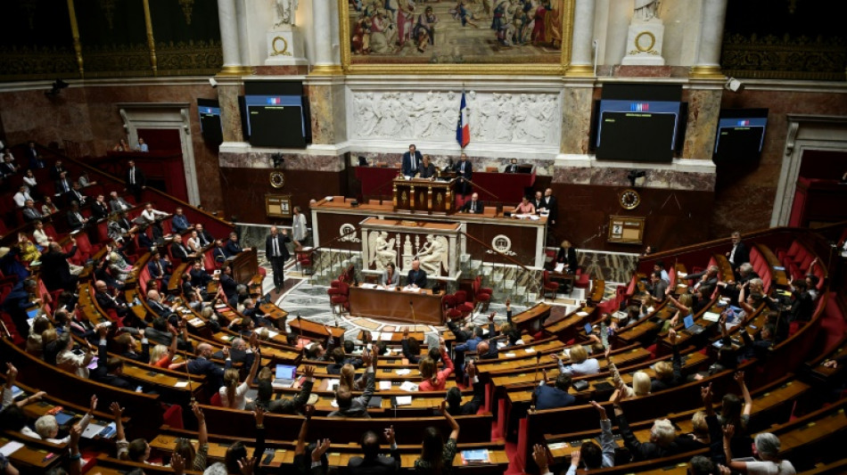 Pouvoir d'achat: ultime et large vote de l'Assemblée sur un volet, avant le Sénat