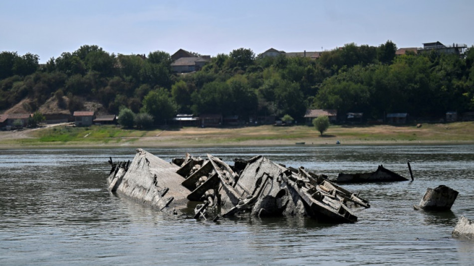 Serbia tackles sunken Nazi fleet in the Danube