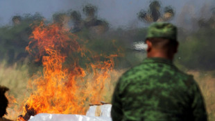 Pré-candidatos republicanos dos EUA disparam contra cartéis de drogas no México