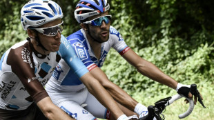 Tour de France: Bardet et Pinot, les revenants 