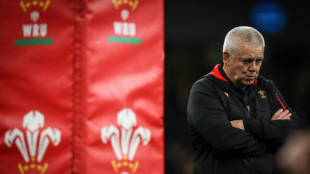 Warren Gatland to leave job as Wales coach: reports