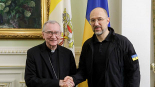 Il card.Parolin incontra a Kiev il primo ministro dell'Ucraina