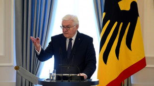 Steinmeier warnt vor sozialen Belastungen der wirtschaftlichen Transformation