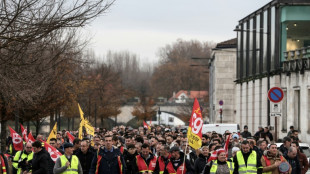 Cognac: plusieurs centaines de salariés manifestent pour défendre la filière