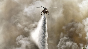 L'Ue invia aiuti ad Atene, due Canadair dall'Italia