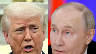 Trump e Putin pactuam trégua limitada, sem cessar-fogo total