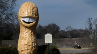 For RV community, giant Carter peanut statue a beacon for home