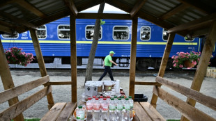 Train carriages host the homeless in Ukraine's Irpin