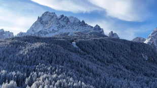 Tennis: Sinner celebrato dai tifosi sulla neve a Plan de Corones