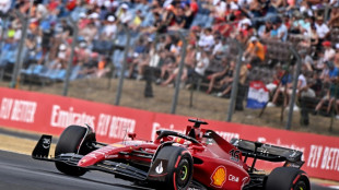 F1: Leclerc et Ferrari marquent leur territoire en Hongrie, Red Bull en retrait