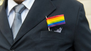 Britain's Privy Council upholds Bermuda gay marriage ban