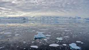 L'Antarctique à plus de 30°C au-dessus de la normale cette semaine