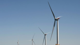 Offshore-Windindustrie: Zubau neuer Anlagen nimmt Fahrt auf