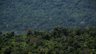 Câmara aprova texto-base de projeto que limita demarcação de terras indígenas