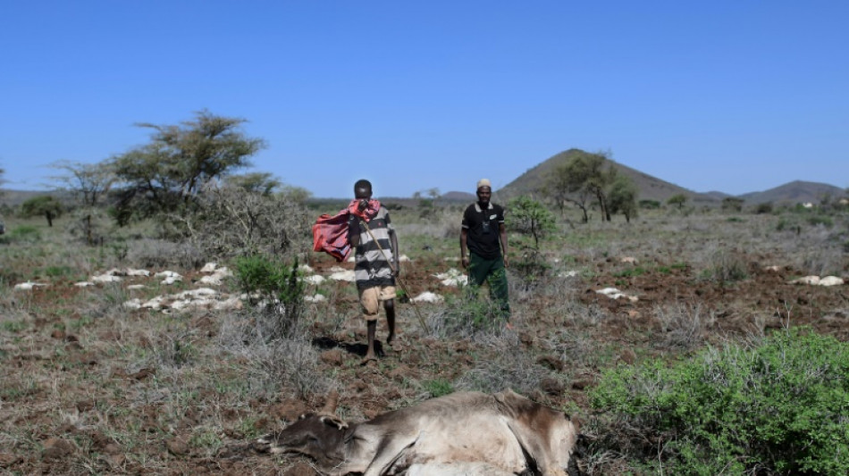 Le risque de famine s'aggrave encore dans la Corne de l'Afrique