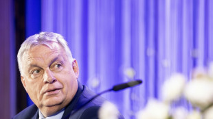 Hungary's Orban visits Ukraine with aid tensions running high