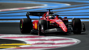 GP de France de F1: Leclerc plus rapide que Verstappen en essais libres