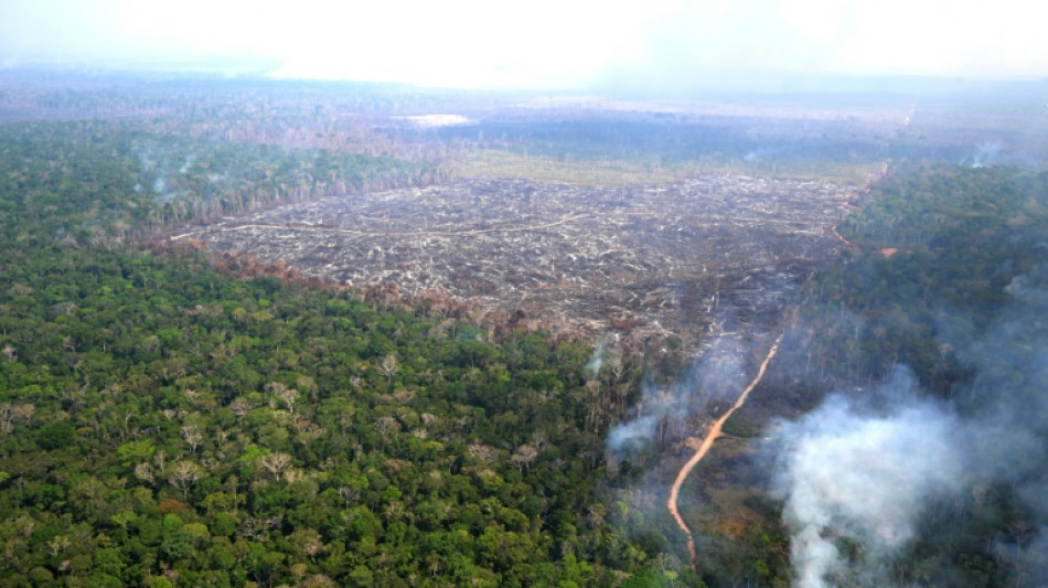 Desmatamento fragmenta a Amazônia e isola 23% de suas florestas, diz estudo