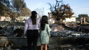 Le défi de reconstruire les milliers de maisons incendiées à Los Angeles