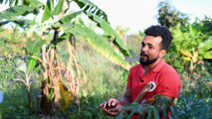 Disputes flare in Brazil between landowners, occupiers 