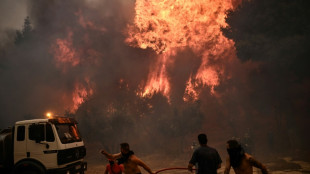 Grèce: Athènes se réveille dans la fumée au cinquième jour de  multiples incendies