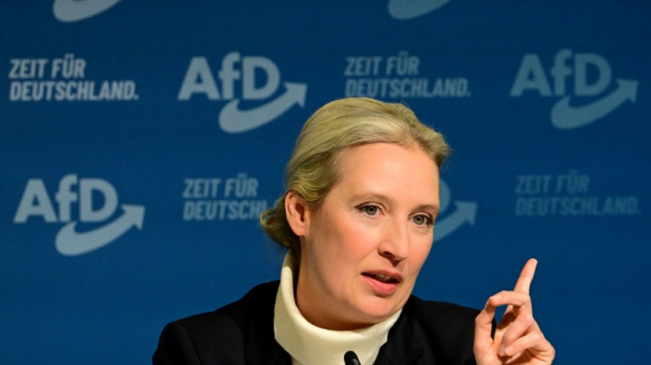 Kampf gegen den "Hippie-Staat": AfD-Vorstand kürt Weidel zu Kanzlerkandidatin