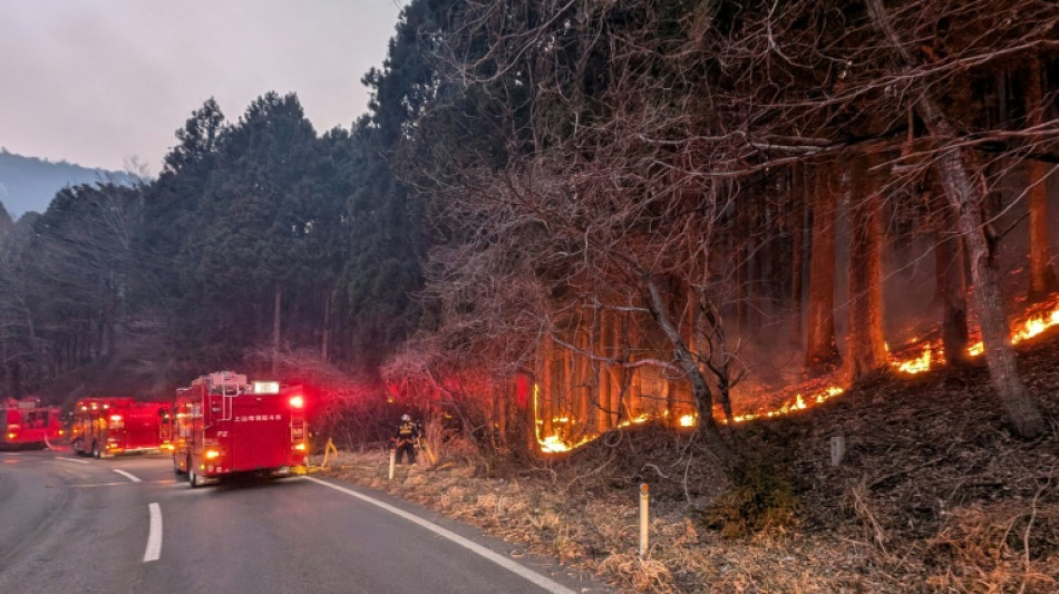 Rain offers relief as Japan battles worst wildfire in 50 years