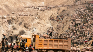 RD Congo: l'impossible mise en conformité des mines illégales de cobalt