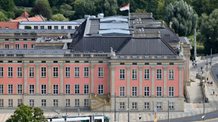 Umfrage: Kopf-an-Kopf-Rennen von SPD und AfD vor Landtagswahl in Brandenburg