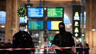 Six blessés à l'arme blanche gare du Nord à Paris, l'agresseur interpellé