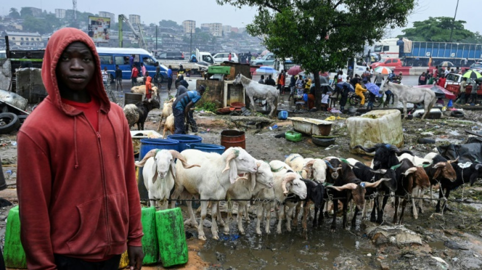 I.Coast relies on livestock from crisis-hit Sahel for Eid