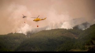 Spain PM hopes Tenerife wildfire will stabilise 'in coming days'